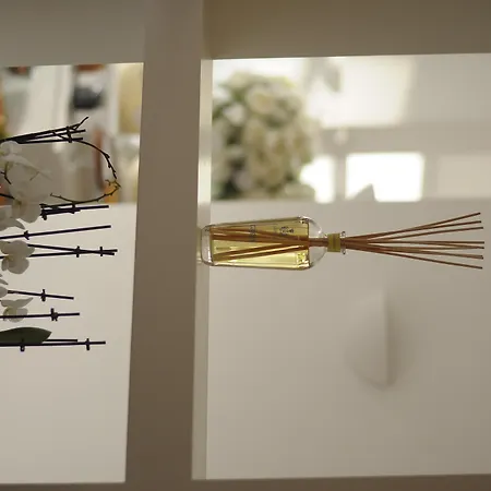 호텔 레지나 크리스티나 4*